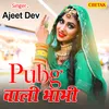 About Pubg Wali Bhabhi Song